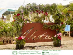 Festival Mar de Tethys 2026 - Bodega Vetas